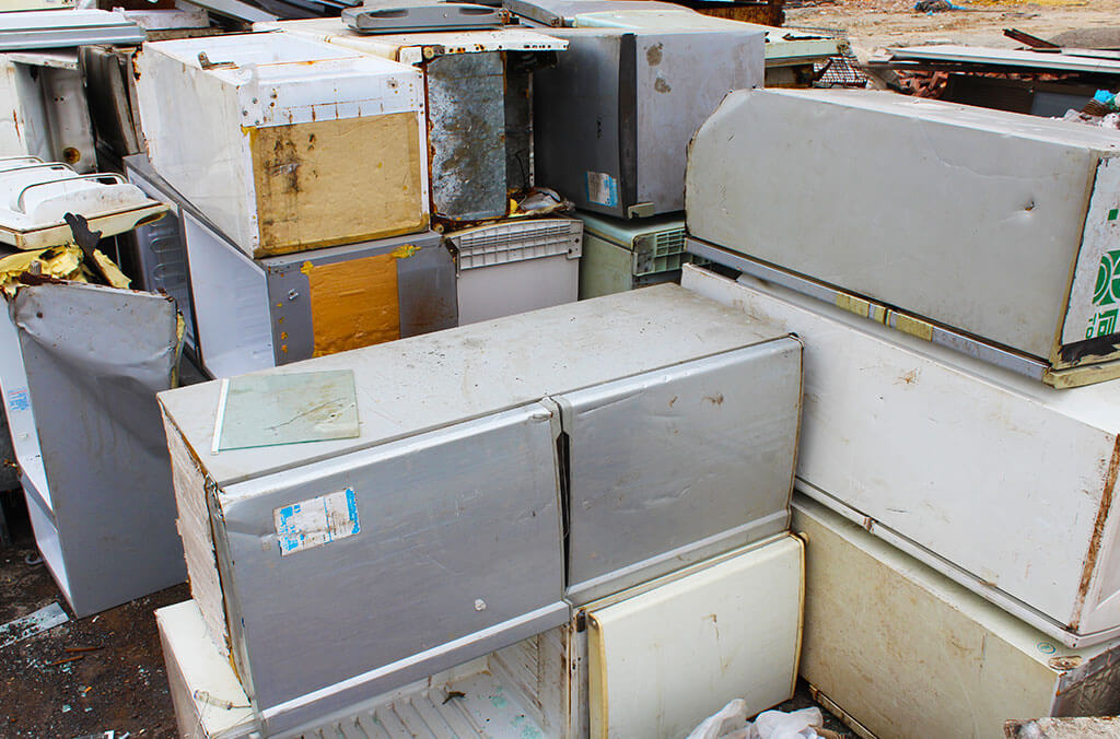 Refrigerator/Fridge