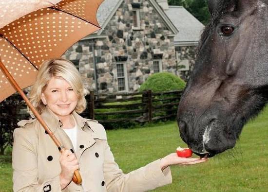 年龄不是问题!84岁单身女星玛莎·斯图尔特自曝:我仍是“优质伴侣”