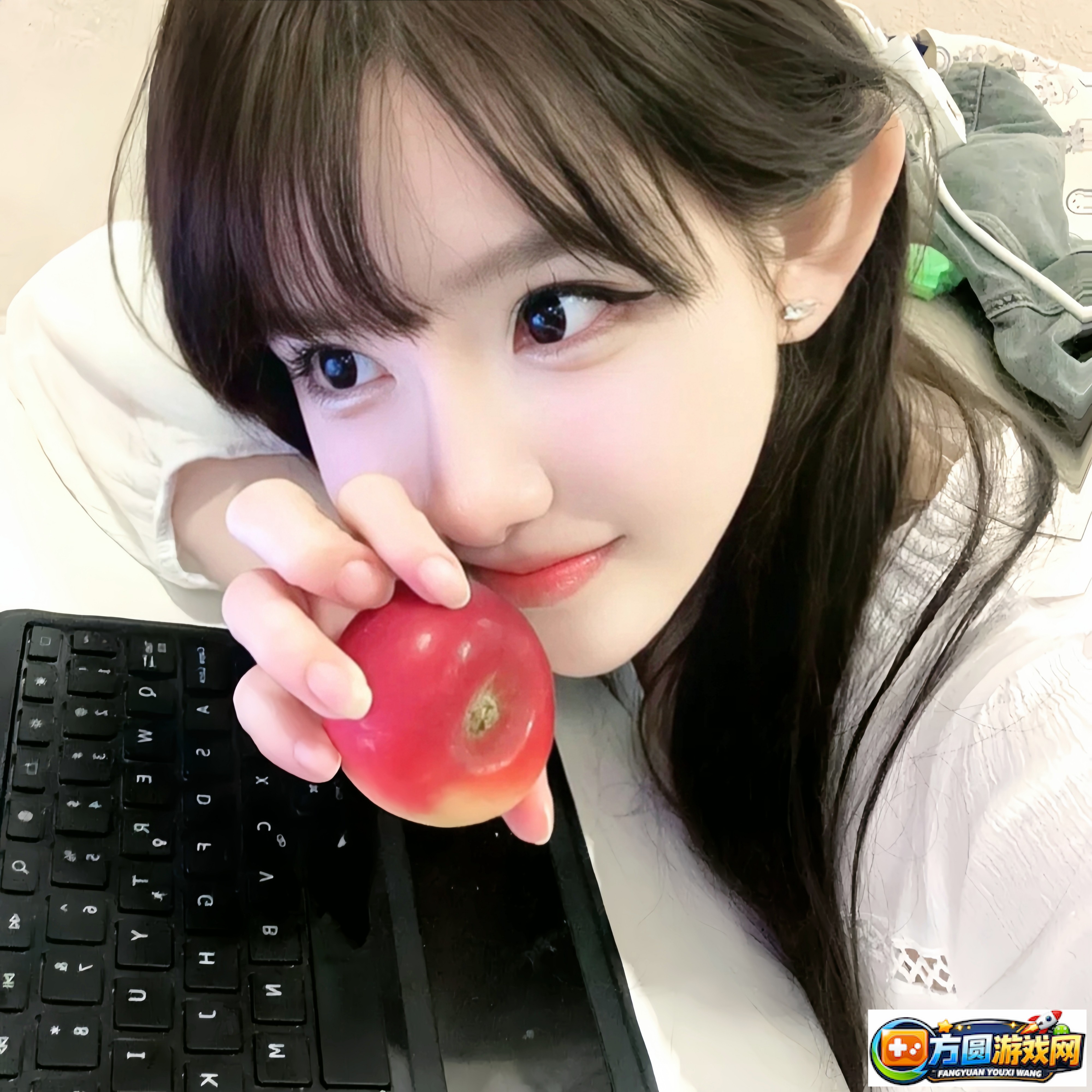 2023年TXVlogcom网页版登录指南与最新动态