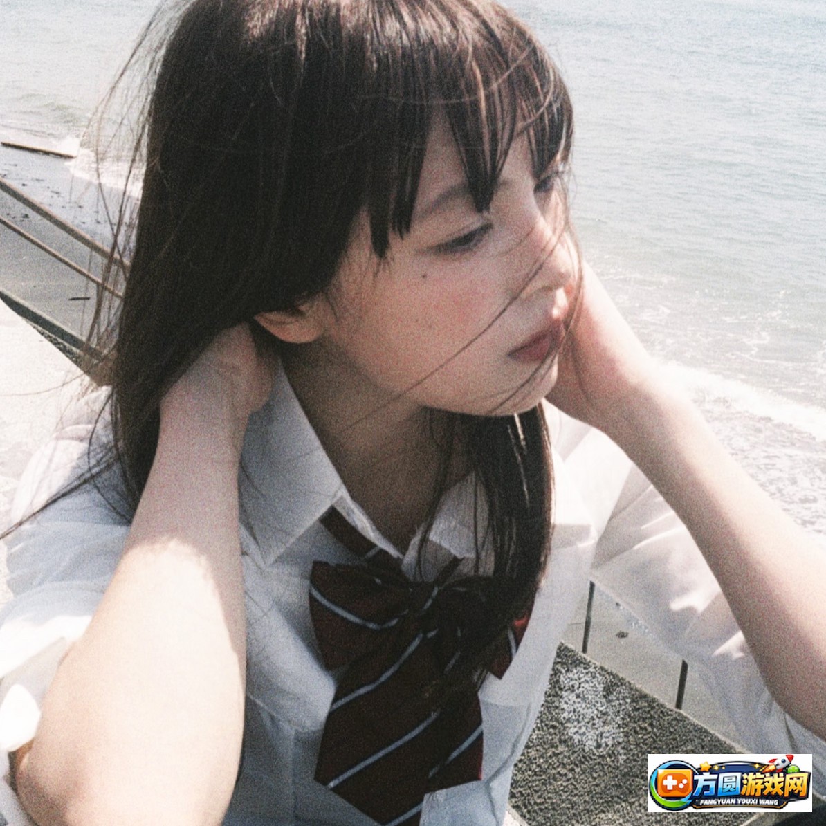 17cccom新版域名查询指南与使用技巧