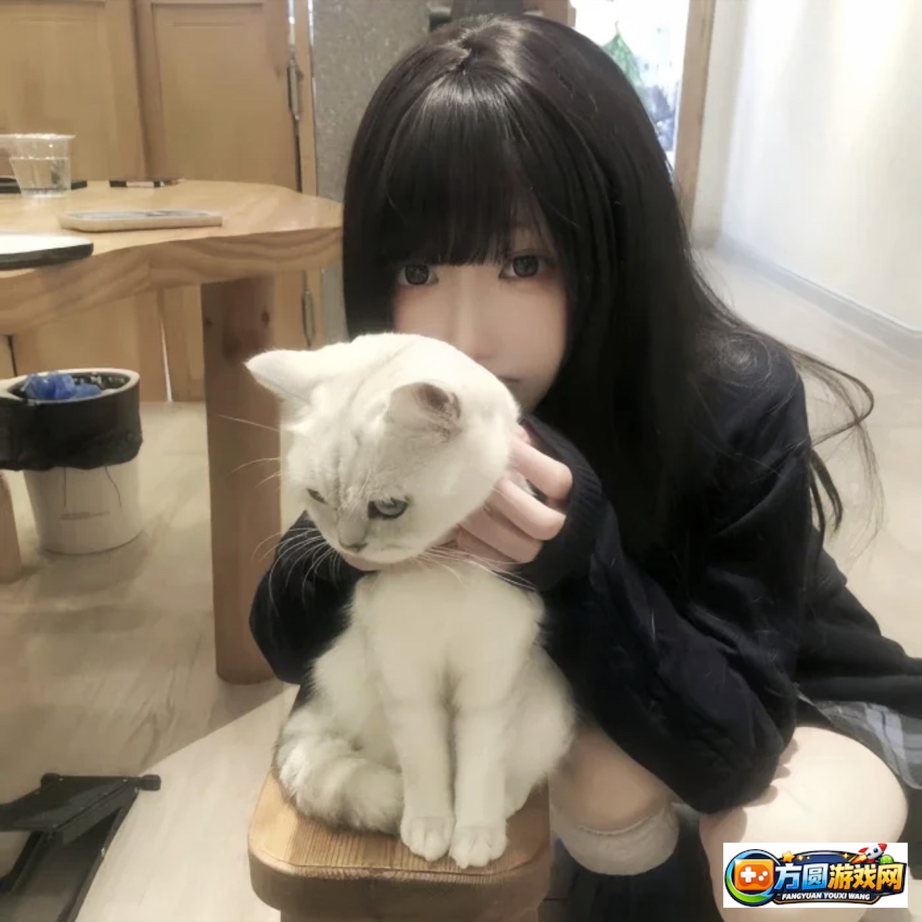 深入解析txvlogcom网业板的功能与应用技巧