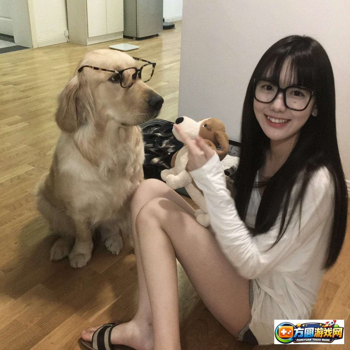 TXVlog官网手机版最新版本功能详解与使用指南