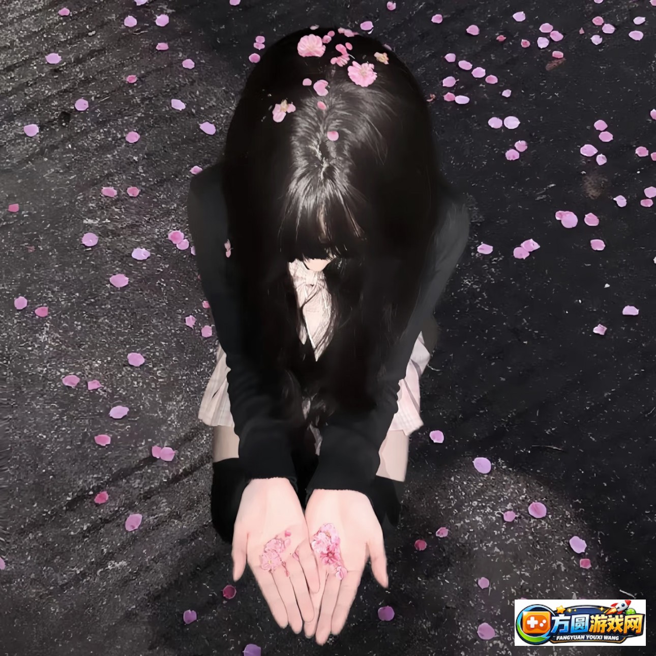 TXVlog官网手机版最新版本功能详解与使用指南