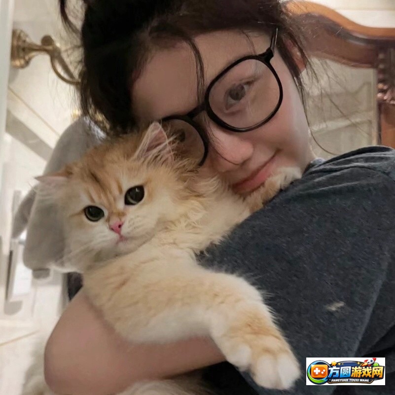 零基础也能上手的Nike1688成品视频源码使用指南