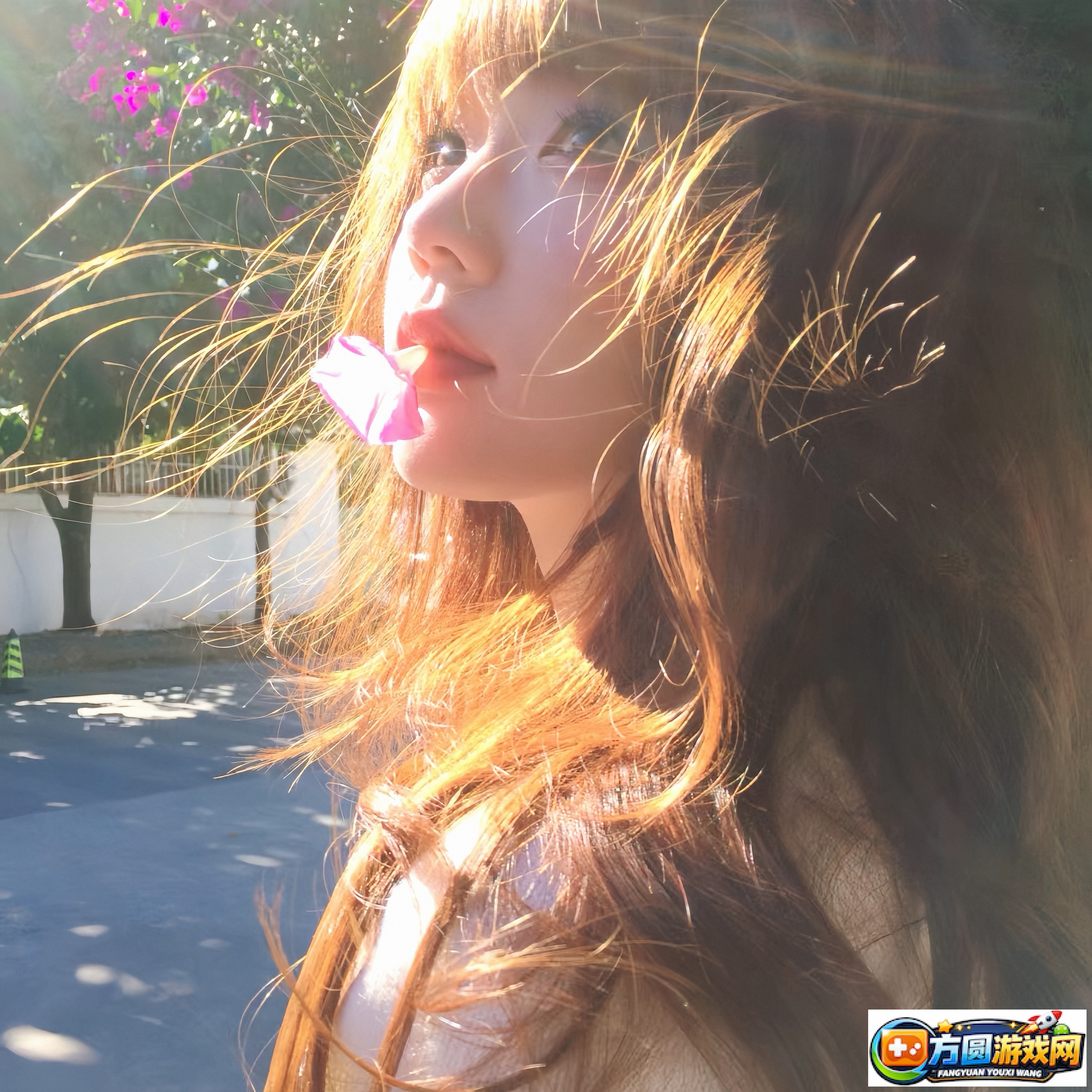 如何制作高质量的Nike1688成品视频分享