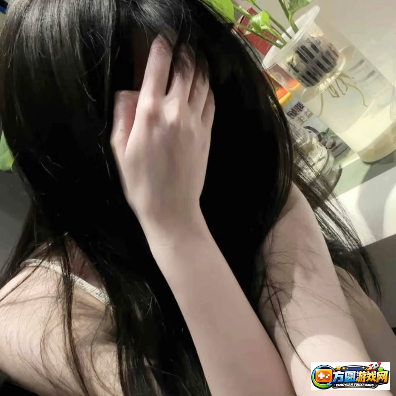 17cccom新版域名查询功能详解与使用指南