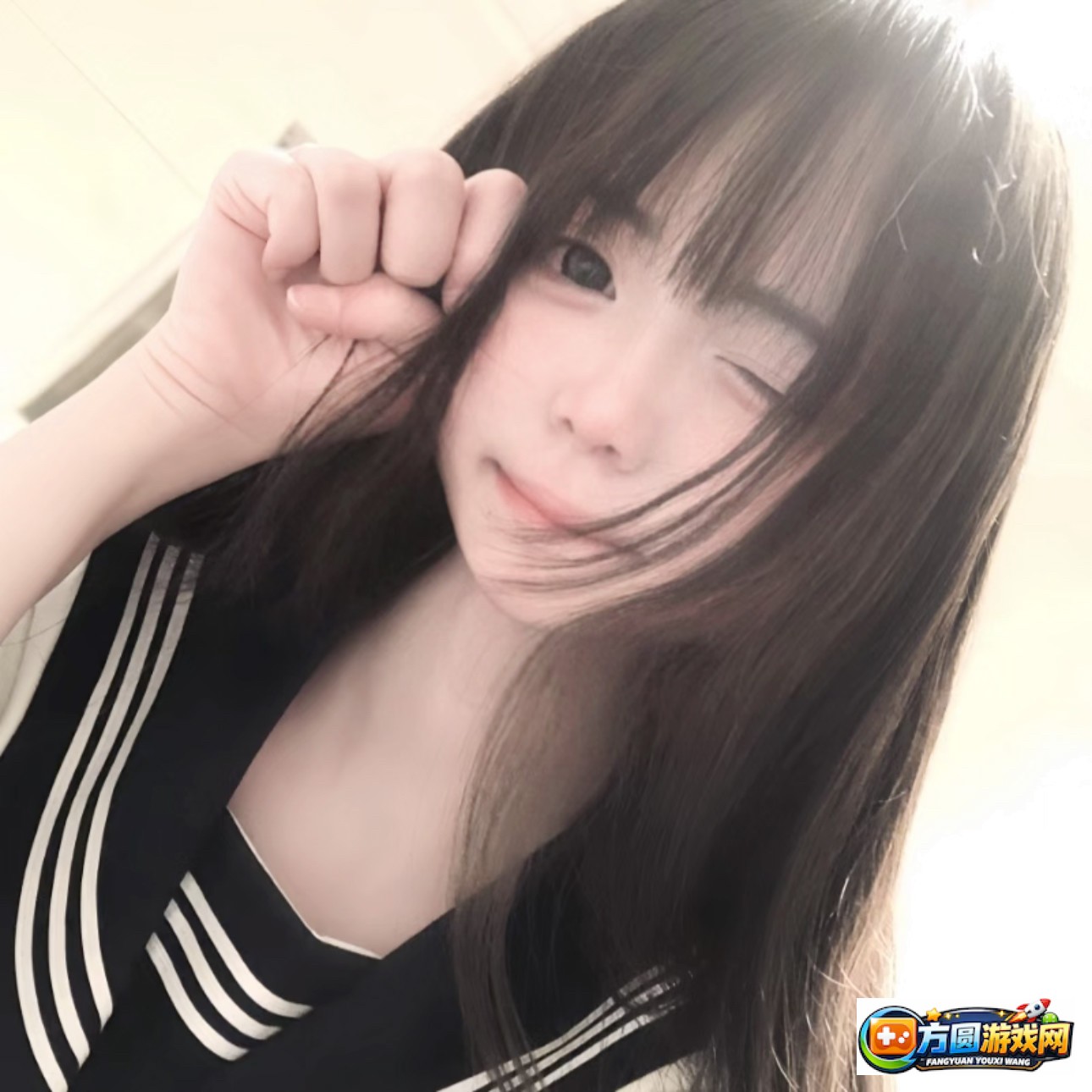 TXVlog官网手机版最新版本功能与使用指南