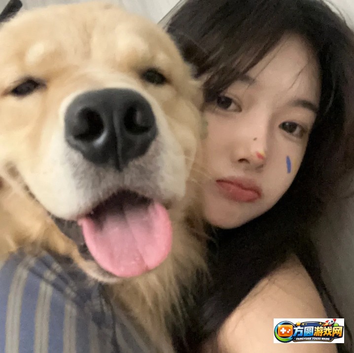 深入解析txvlogcom网业板的功能与应用技巧