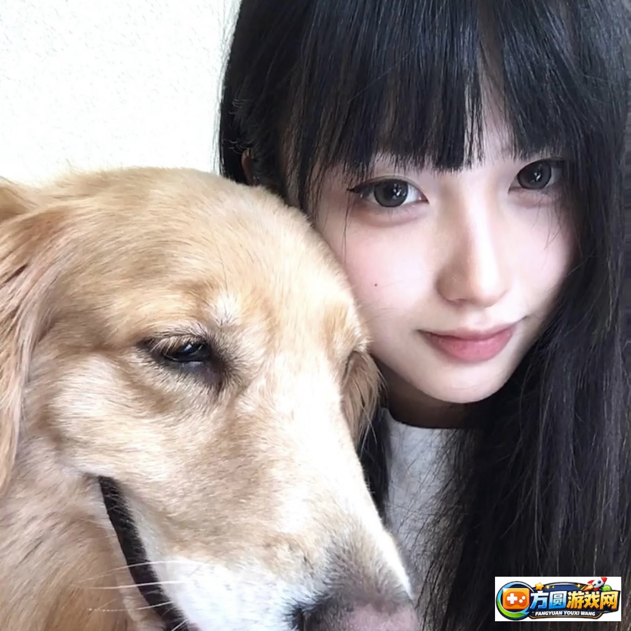 成品视频制作指南：让剪辑小白也能轻松掌握Nike1688源码