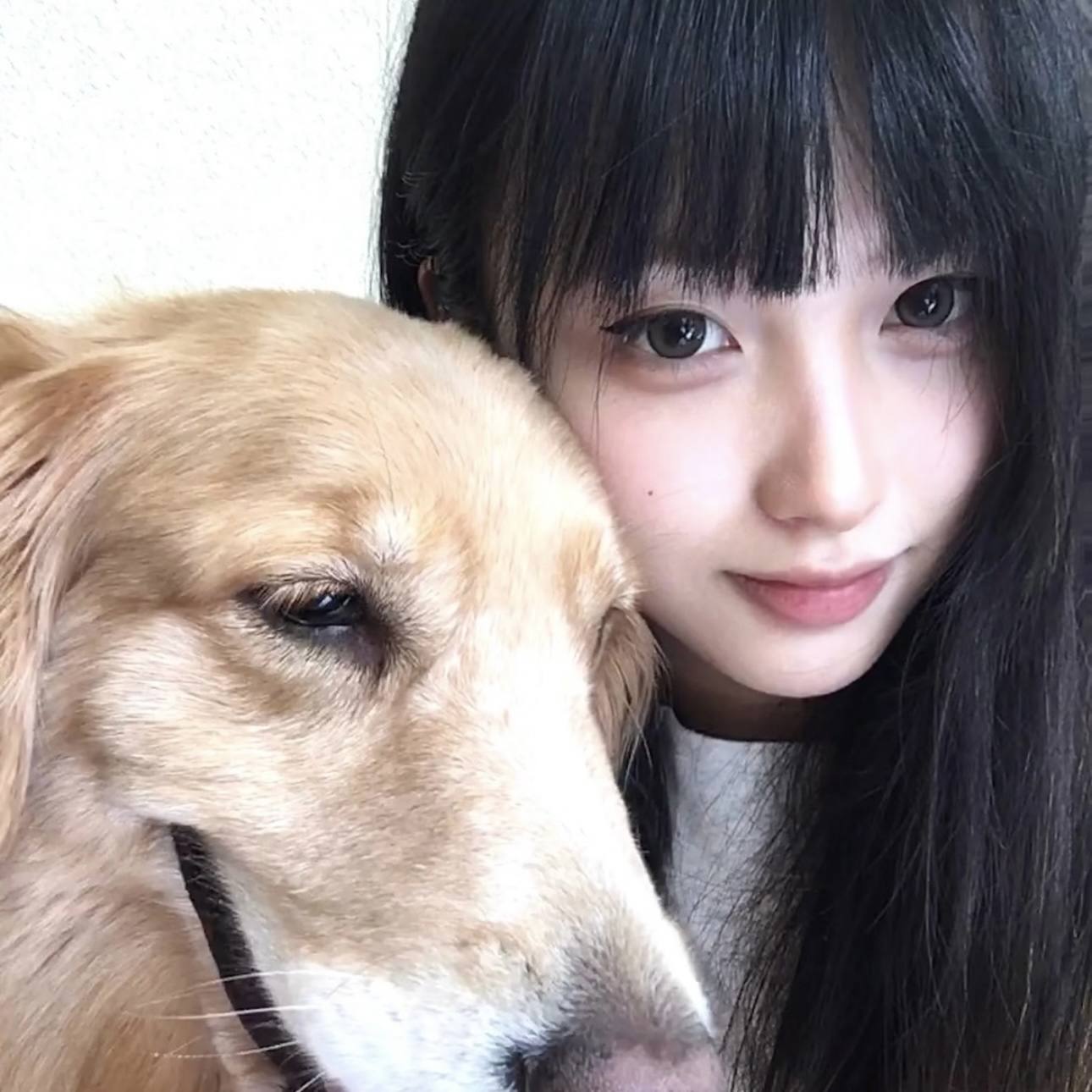 今年将修改教师法、道路交通安全法等