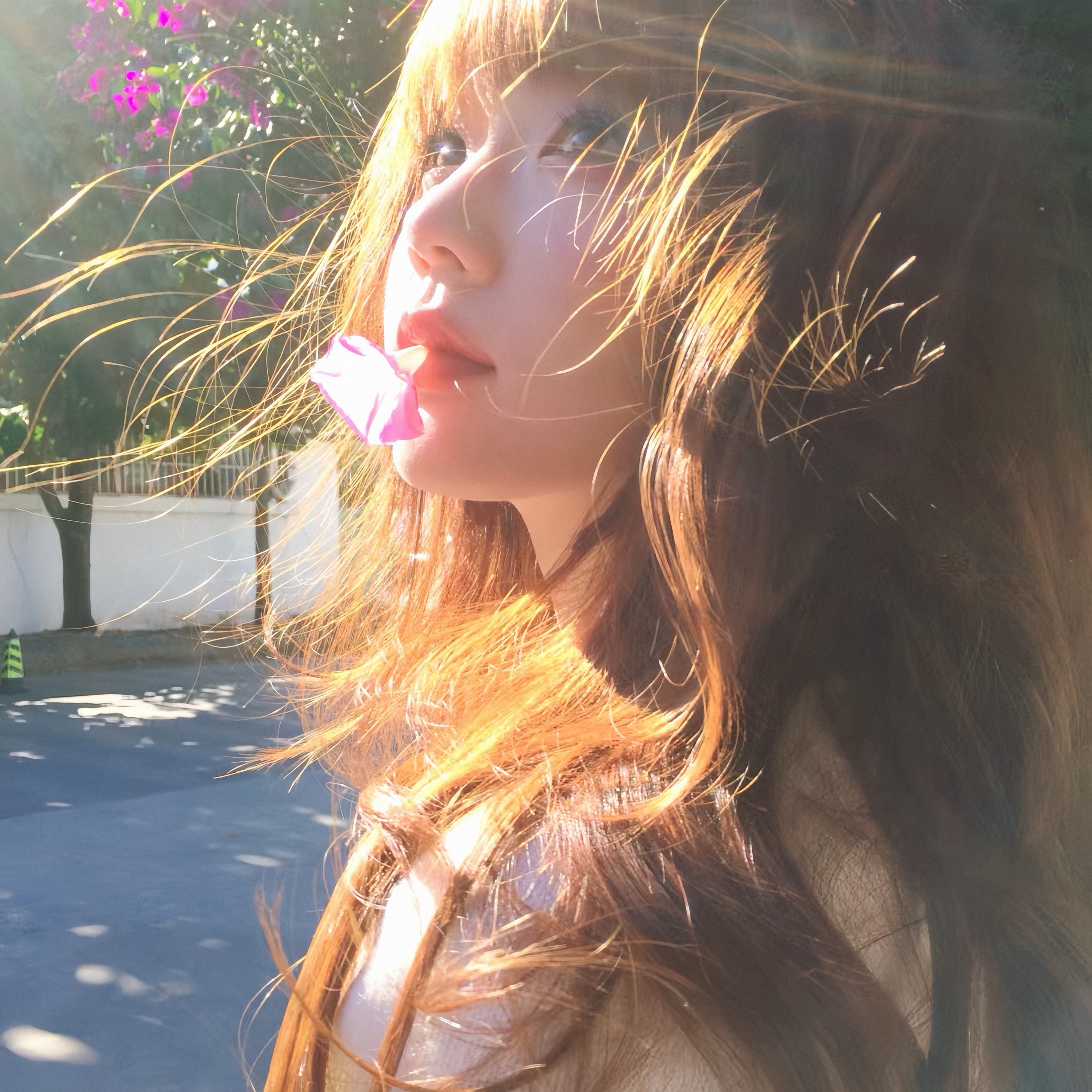 王毅同巴林外交大臣扎耶尼通电话