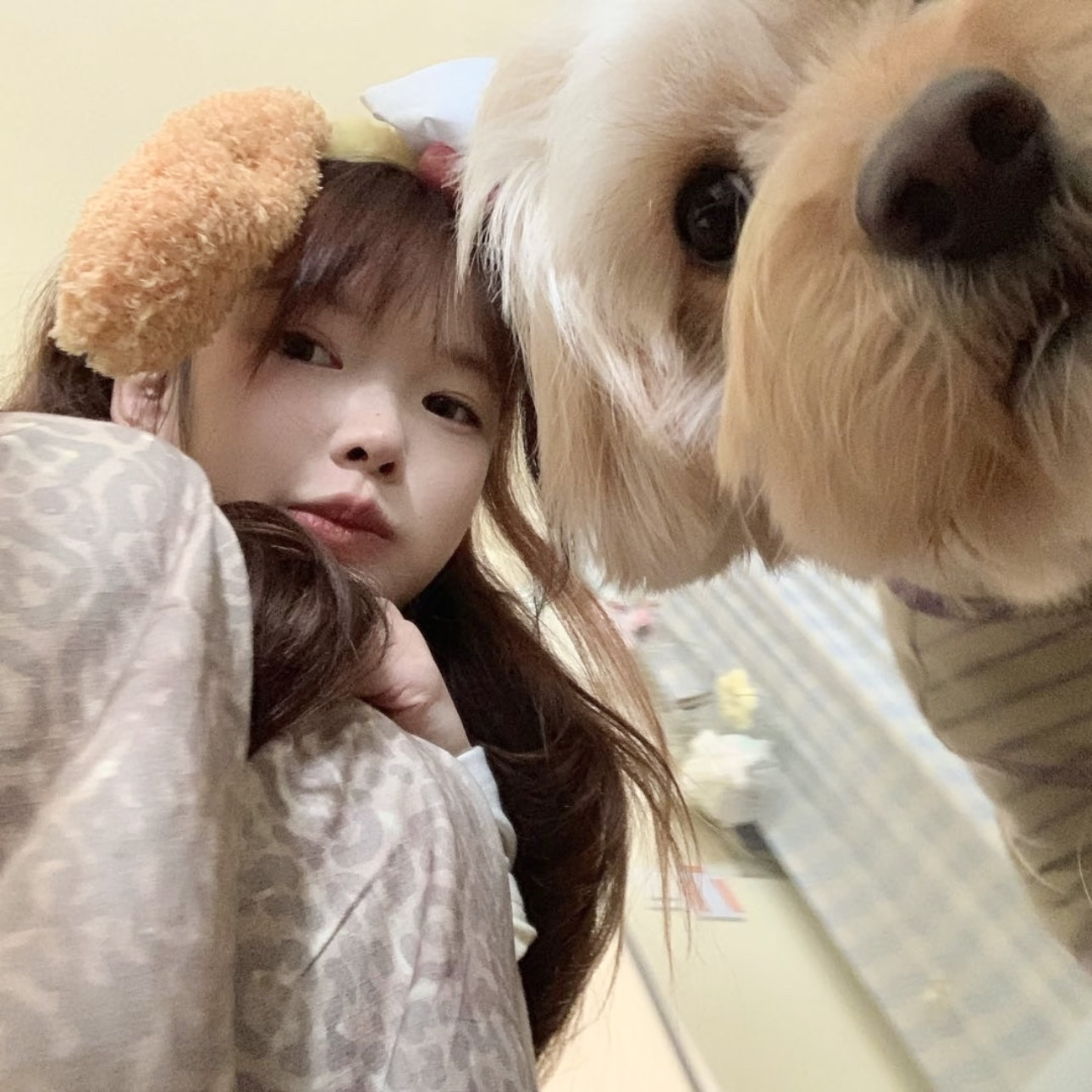 国产99久久久免费无码：安全体验与使用指南分析