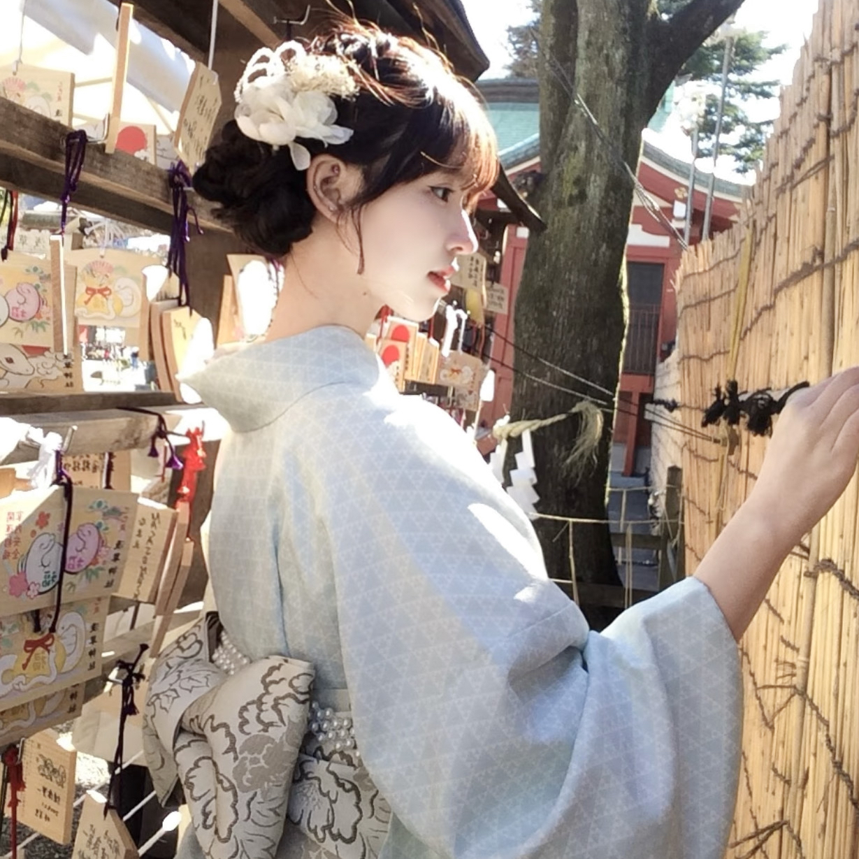 全国人大代表毕利霞：建议打造“AI+”水稻全产业链示范带