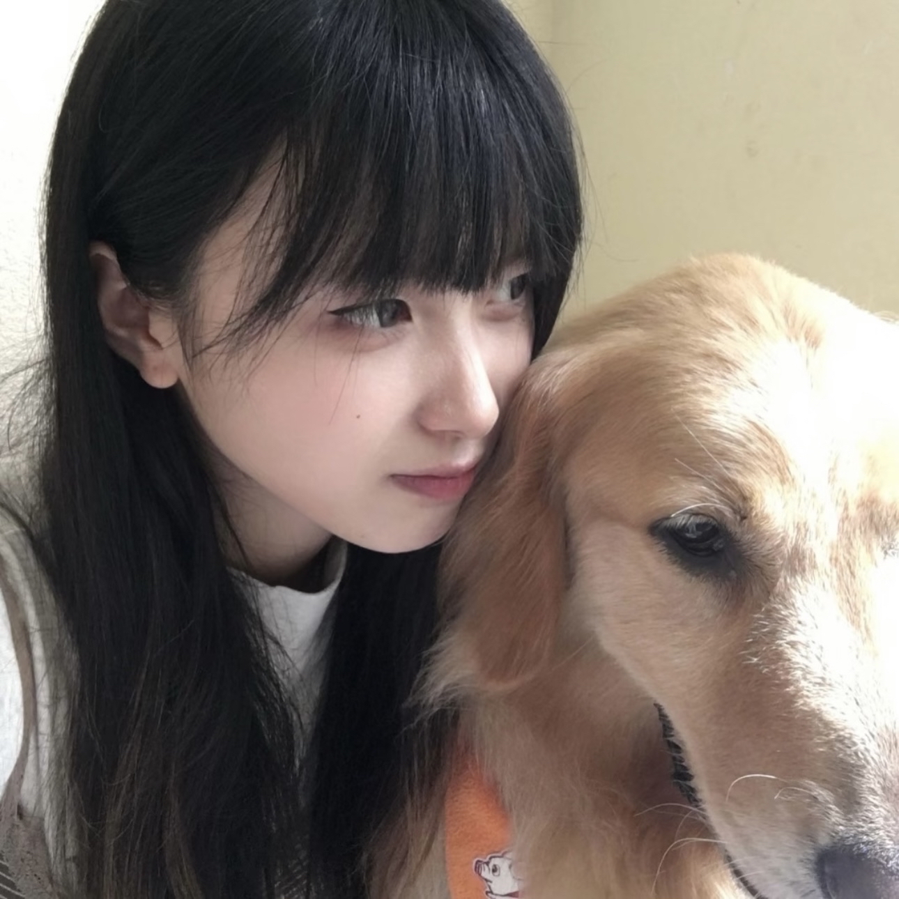 欧陆风云4新手指南：如何快速掌握国家管理与战略布局