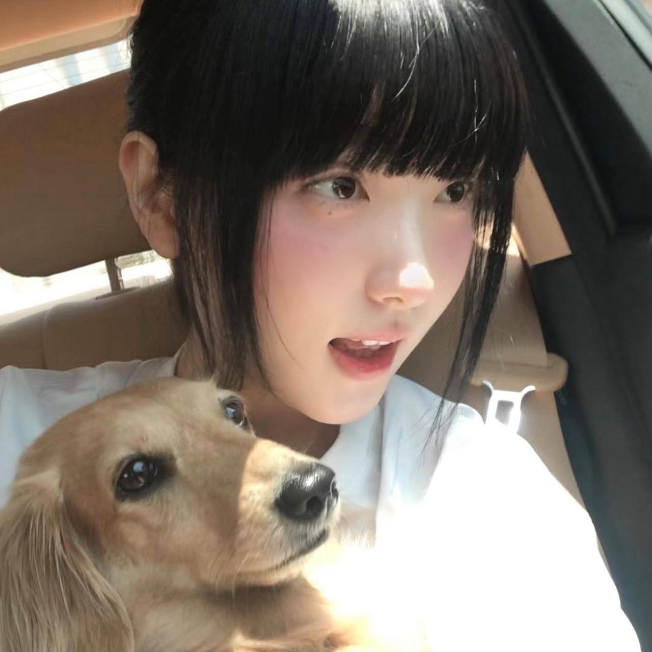 FBI警告伊朗无人机可能袭击加州？特朗普与纽森回应