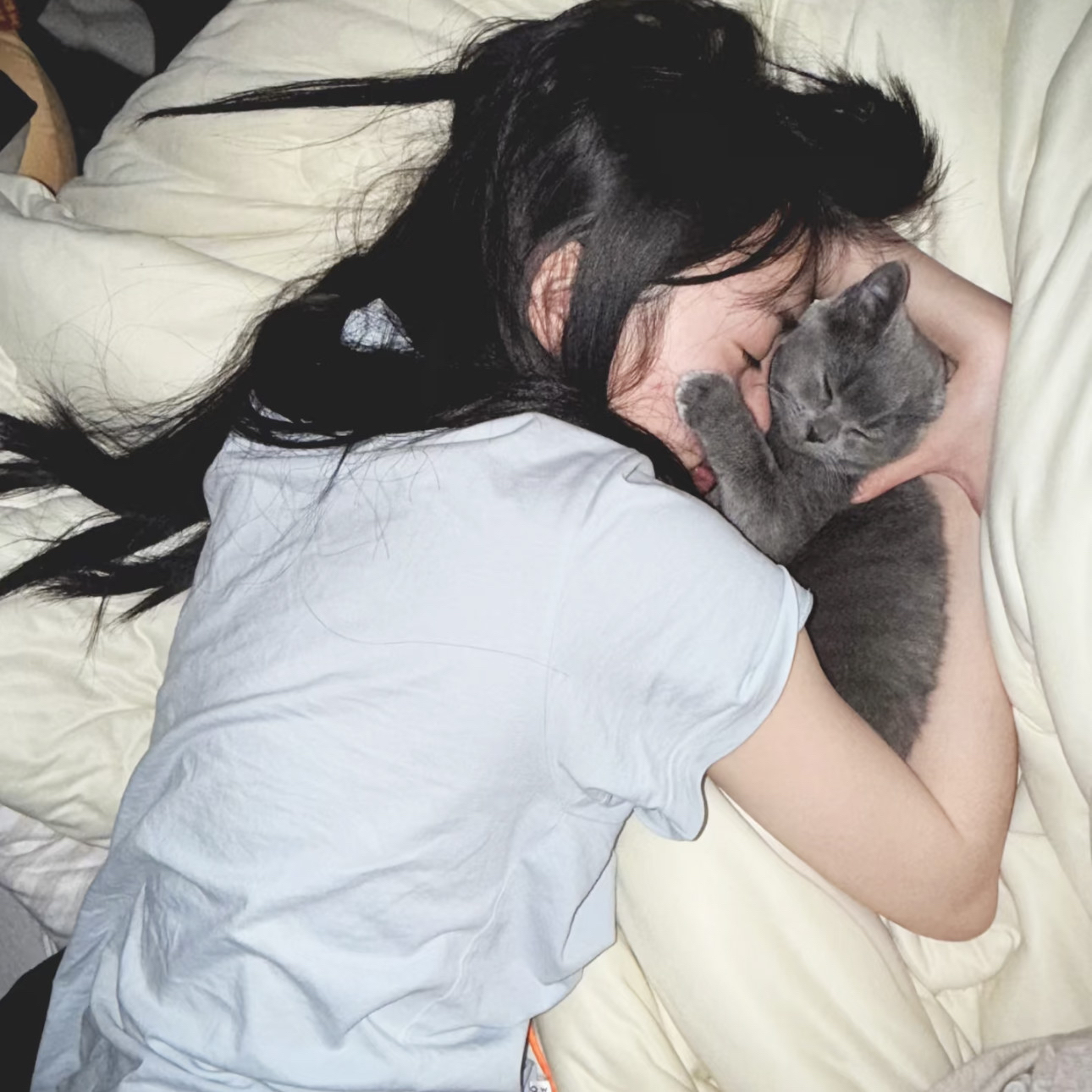 最高检工作报告：2025年339人正当防卫不捕不诉