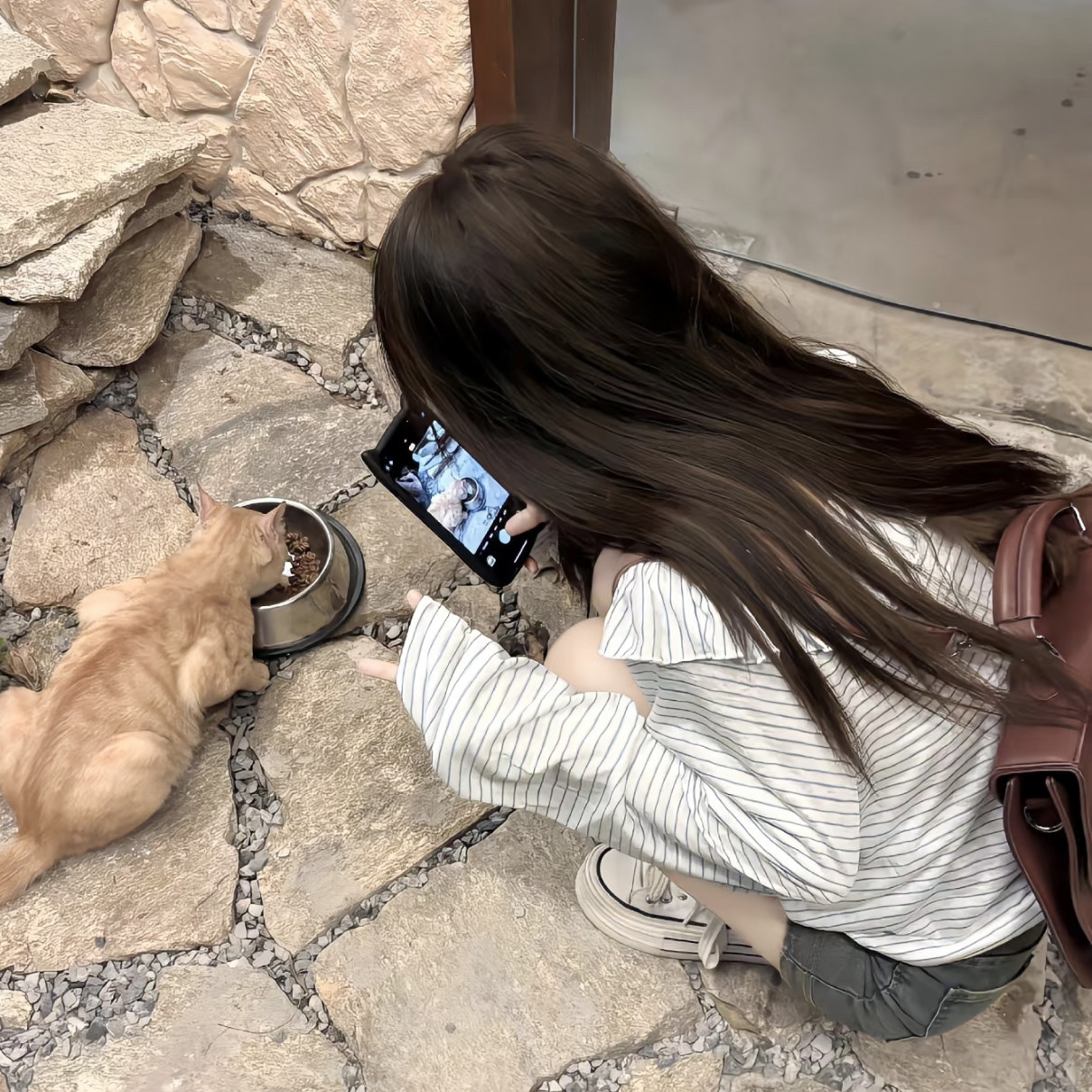 检察机关去年对正当防卫339人依法不捕不诉